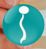 logo tuquiropractico