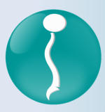 logo tuquiropractico