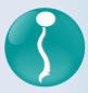 logo tuquiropractico